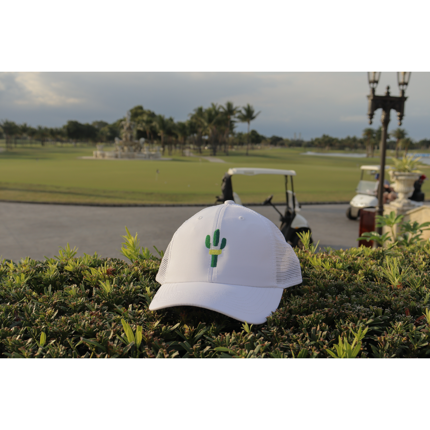 Cactus Caddie Performance Snap-Back
